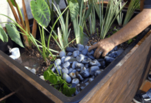 Pond Filter