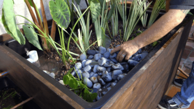 Pond Filter
