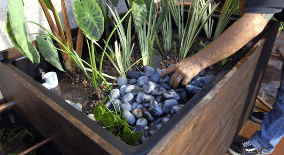 Pond Filter