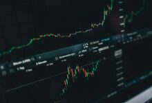 rising popularity of stocks