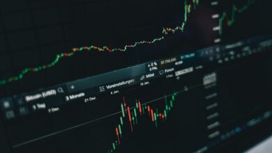 rising popularity of stocks