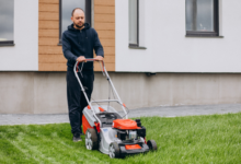 How to Maintain a Healthy Lawn Year-Round