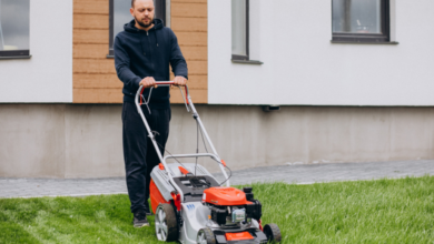 How to Maintain a Healthy Lawn Year-Round