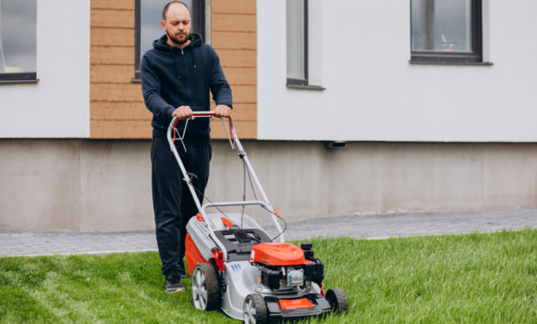 How to Maintain a Healthy Lawn Year-Round
