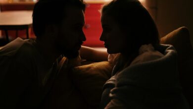 lobasincensura profile summary overview