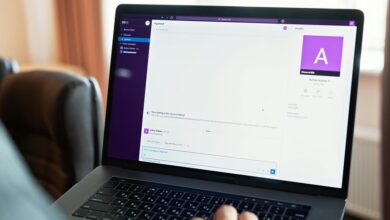 profile overview summary details