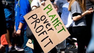 apex beam profit strategy