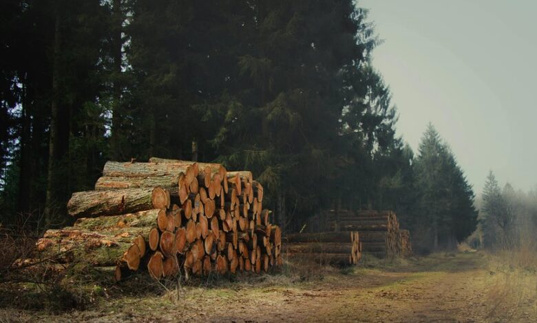 device management and monitoring