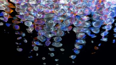 digital fusion flow concept