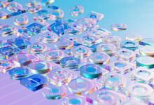 neural vector apex prism