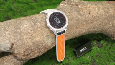 pagopash financial alerts summary